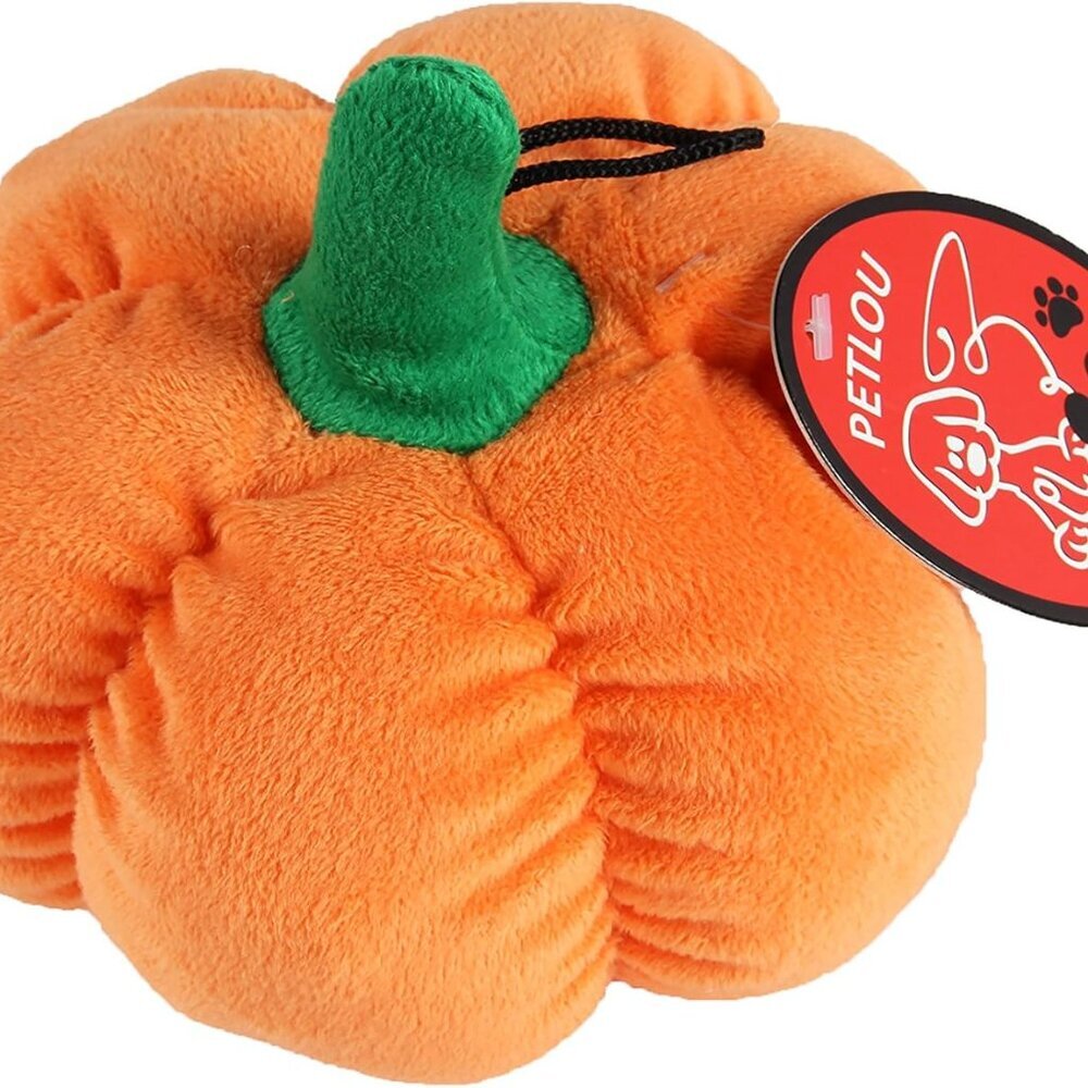 Pumpkin, 1 Count